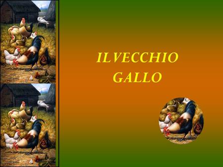 IL VECCHIO GALLO Ecco cosa ha fatto un vecchio gallo per non essere sostituito da un altro più giovane.