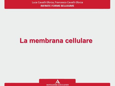 Luca Cavalli-Sforza, Francesco Cavalli-Sforza INFINITE FORME BELLISSIME La membrana cellulare.