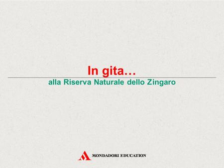 alla Riserva Naturale dello Zingaro