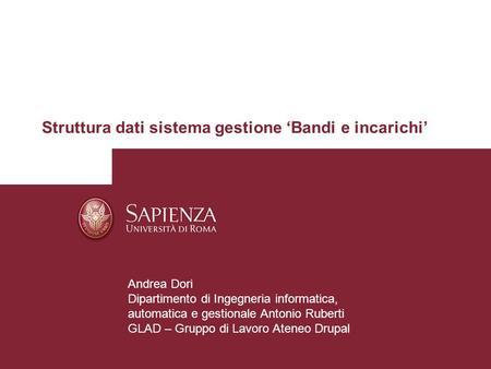 CRUI 14 e 15 luglio 2014 Struttura dati sistema gestione ‘Bandi e incarichi’ Andrea Dori Dipartimento di Ingegneria informatica, automatica e gestionale.