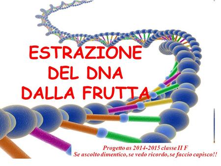 ESTRAZIONE DEL DNA DALLA FRUTTA