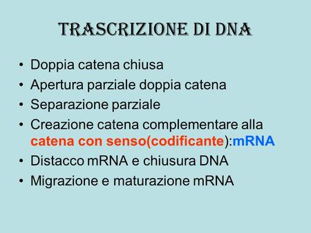 Trascrizione di DNA Doppia catena chiusa Apertura parziale doppia catena Separazione parziale Creazione catena complementare alla catena con senso(codificante):mRNA.