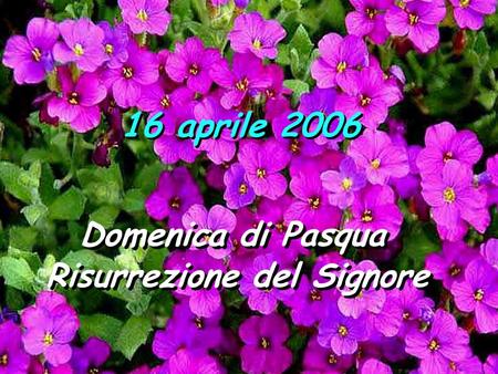 16 aprile 2006 Domenica di Pasqua Risurrezione del Signore Domenica di Pasqua Risurrezione del Signore.