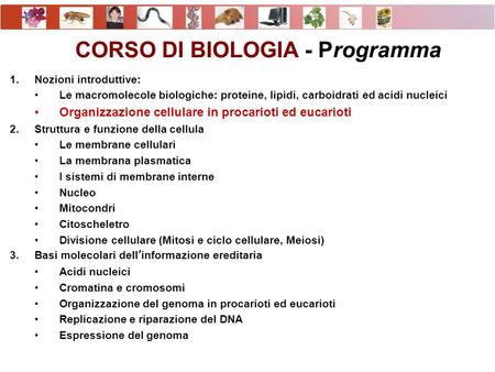 CORSO DI BIOLOGIA - Programma