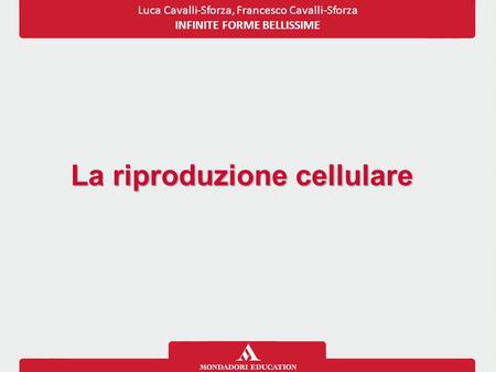 Luca Cavalli-Sforza, Francesco Cavalli-Sforza INFINITE FORME BELLISSIME La riproduzione cellulare.