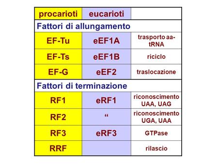 riconoscimento UAA, UAG riconoscimento UGA, UAA