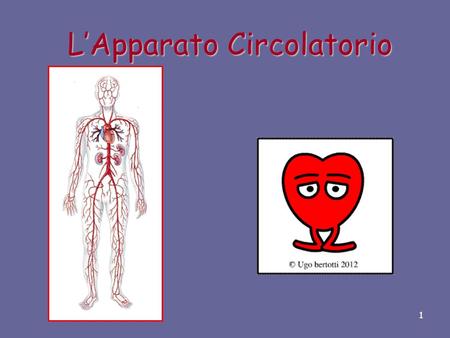 L’Apparato Circolatorio