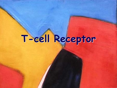 T-cell Receptor 2/9/04.