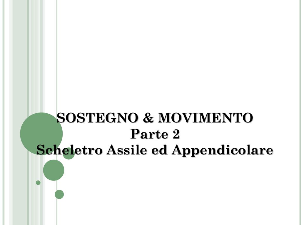 Scheletro Assile Ed Appendicolare Ppt Scaricare