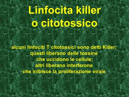 Linfocita killer o citotossico alcuni linfociti T citotossici sono detti Killer: questi liberano delle tossine che uccidono le cellule; altri liberano.