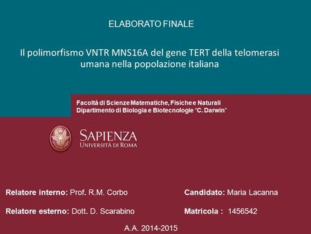 ELABORATO FINALE Il polimorfismo VNTR MNS16A del gene TERT della telomerasi umana nella popolazione italiana Facoltà di Scienze Matematiche, Fisiche e.