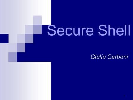 Secure Shell Giulia Carboni
