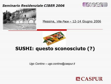 Seminario Residenziale CIBER 2006 Messina, Villa Pace – 12-14 Giugno 2006 Ugo Contino –