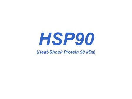 HSP90 (Heat-Shock Protein 90 kDa)