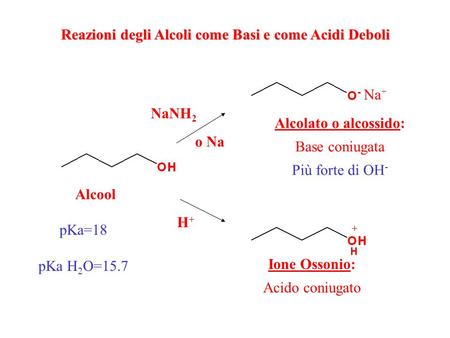 Reazioni degli Alcoli come Basi e come Acidi Deboli