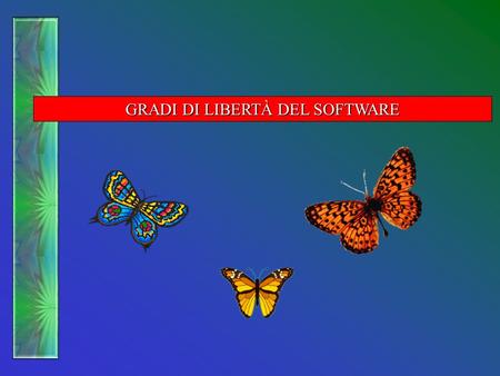 GRADI DI LIBERTÀ DEL SOFTWARE. GRADI DI LIBERTÀ La possibilità data al fruitore di muoversi all'interno di uno strumento ?