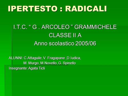 I.T.C. “ G . ARCOLEO ” GRAMMICHELE