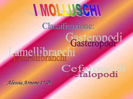 I MOLLUSCHI Alessia Arnone 1° D Classificazione: Gasteropodi