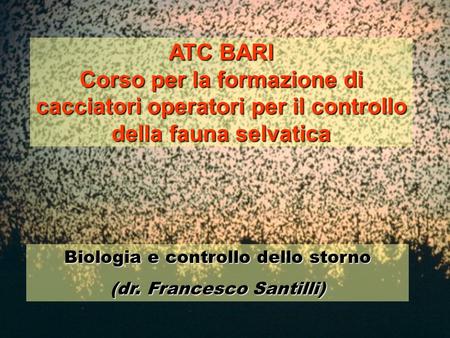 ATC BARI Corso per la formazione di cacciatori operatori per il controllo della fauna selvatica Biologia e controllo dello storno (dr. Francesco Santilli)