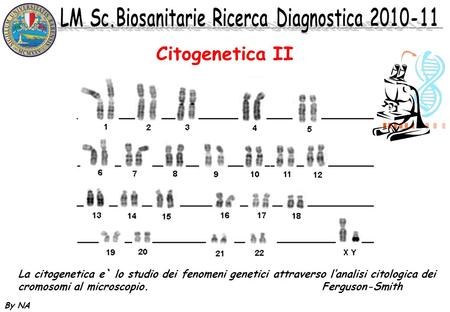Citogenetica II La citogenetica e` lo studio dei fenomeni genetici attraverso l’analisi citologica dei cromosomi al microscopio.