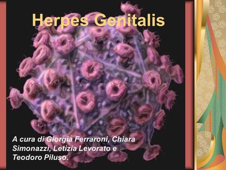 Herpes Genitalis Che cosa è?