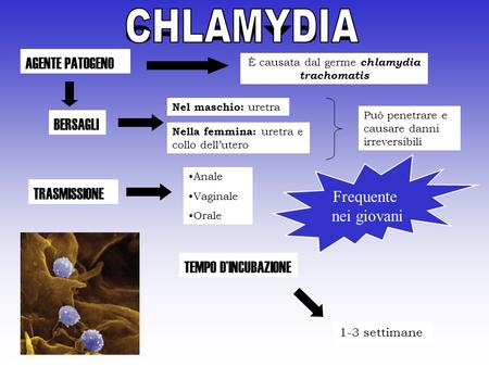 È causata dal germe chlamydia trachomatis