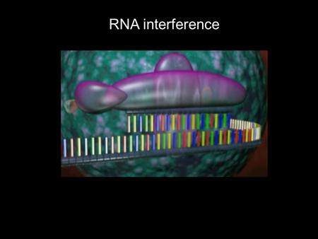 RNA interference.