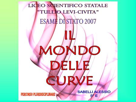 IL MONDO DELLE CURVE LICEO SCIENTIFICO STATALE TULLIO LEVI-CIVITA