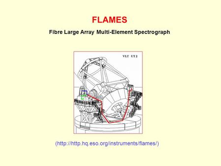 FLAMES Fibre Large Array Multi-Element Spectrograph (http://http.hq.eso.org/instruments/flames/)