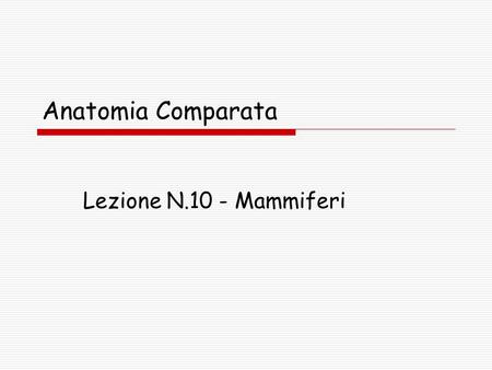 Anatomia Comparata Lezione N.10 - Mammiferi.