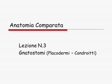 Lezione N.3 Gnatostomi (Placodermi – Condroitti)
