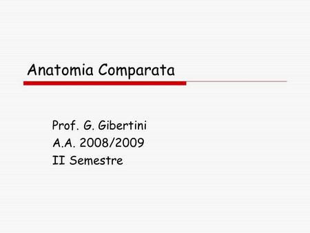 Prof. G. Gibertini A.A. 2008/2009 II Semestre