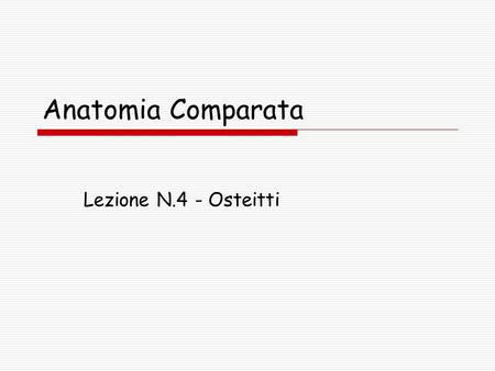 Anatomia Comparata Lezione N.4 - Osteitti.