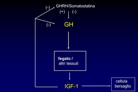 GH IGF-1 GHRH/Somatostatina (-) (+) (-) (-) altri tessuti cellula
