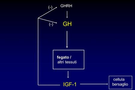 GHRH (-) GH (-) fegato / altri tessuti cellula bersaglio IGF-1.
