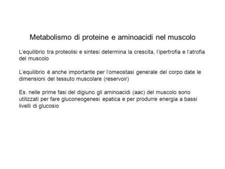 Metabolismo di proteine e aminoacidi nel muscolo
