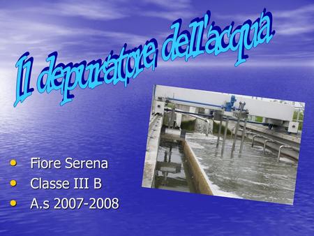 Fiore Serena Fiore Serena Classe III B Classe III B A.s 2007-2008 A.s 2007-2008.