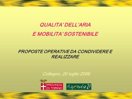 QUALITA DELLARIA E MOBILITA SOSTENIBILE PROPOSTE OPERATIVE DA CONDIVIDERE E REALIZZARE Collegno, 20 luglio 2006.