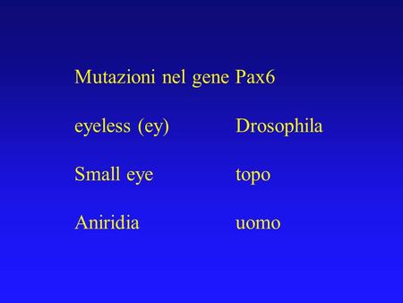 Mutazioni nel gene Pax6 eyeless (ey) 		Drosophila Small eye			topo