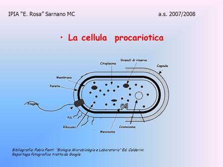 La cellula procariotica