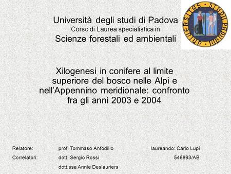 Università degli studi di Padova Corso di Laurea specialistica in Scienze forestali ed ambientali Xilogenesi in conifere al limite superiore del bosco.
