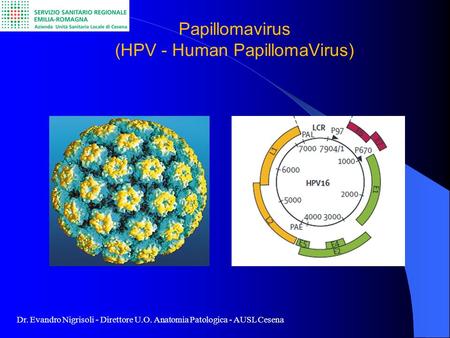 Papillomavirus (HPV - Human PapillomaVirus)