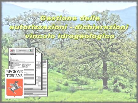 Regione Toscana Settore Foreste e Patrimonio Agro-Forestale.