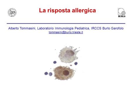 La risposta allergica Alberto Tommasini, Laboratorio Immunologia Pediatrica, IRCCS Burlo Garofolo tommasini@burlo.trieste.it.