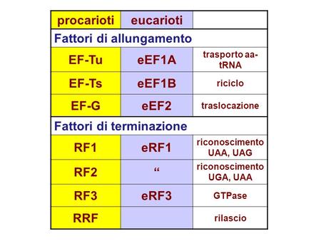 Procariotieucarioti Fattori di allungamento EF-TueEF1A trasporto aa- tRNA EF-TseEF1B riciclo EF-GeEF2 traslocazione Fattori di terminazione RF1eRF1 riconoscimento.