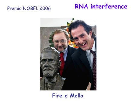 RNA interference Premio NOBEL 2006 Fire e Mello.