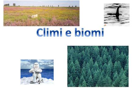 Climi e biomi.