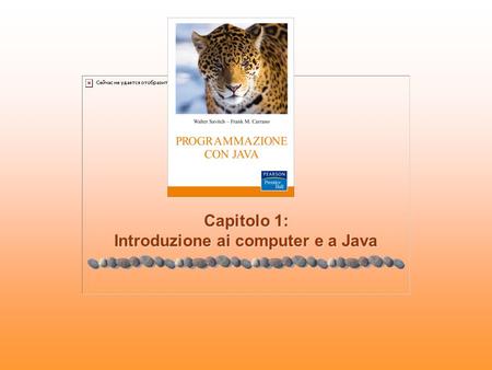 Capitolo 1: Introduzione ai computer e a Java