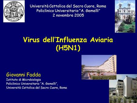 Virus dell’Influenza Aviaria (H5N1)
