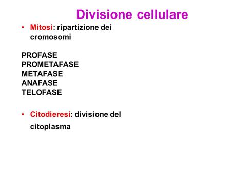 Divisione cellulare Mitosi: ripartizione dei cromosomi PROFASE